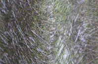 Wood Lane fibreglass roof work